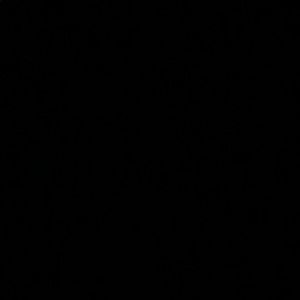 Meet your Posher, Terrell